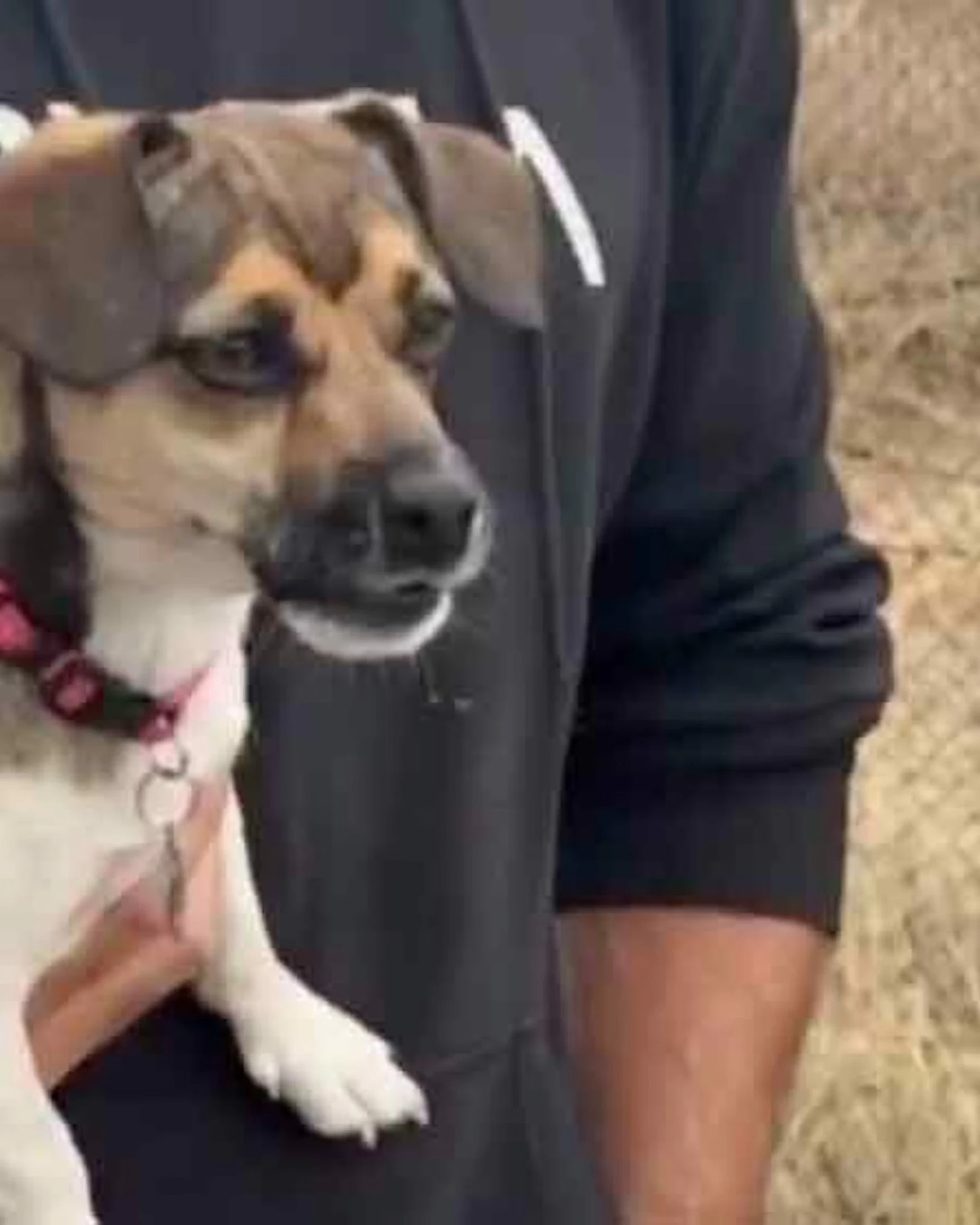 Daily Smile: Sunday, March 29, 2026