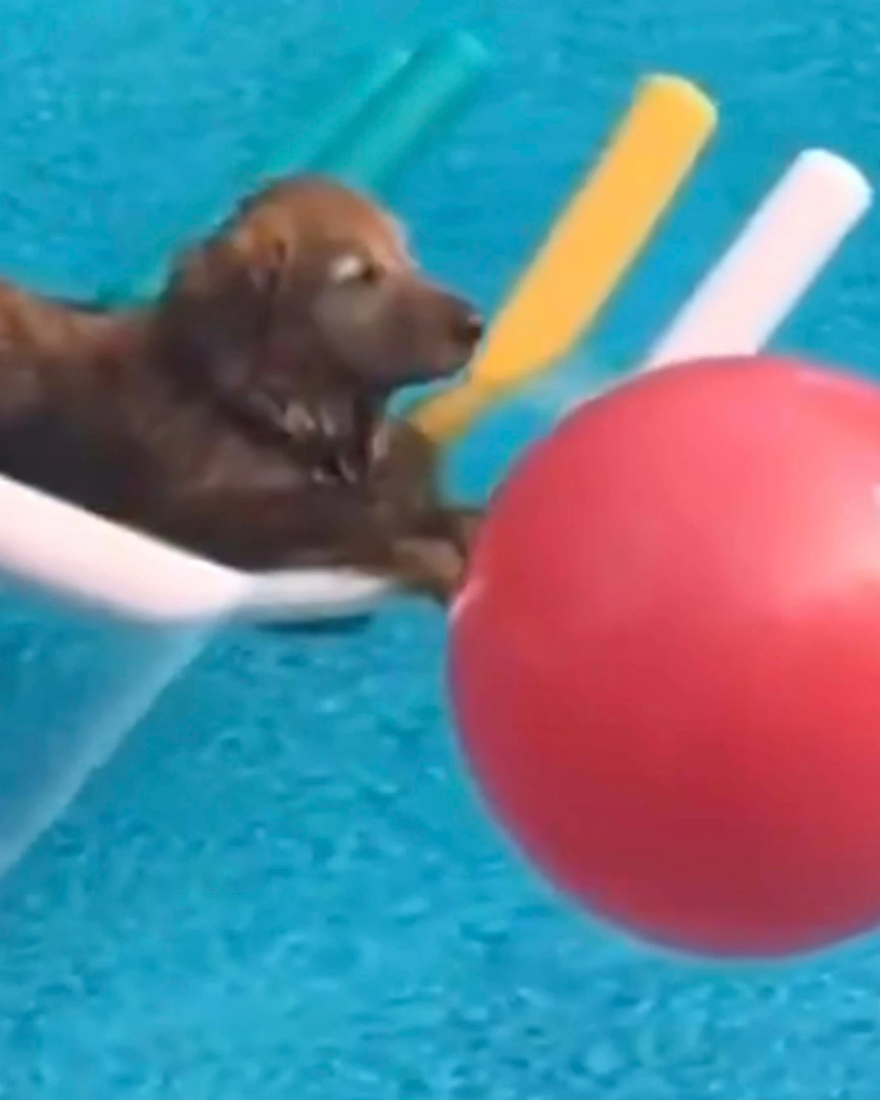 Daily Smile: Saturday, March 21, 2026