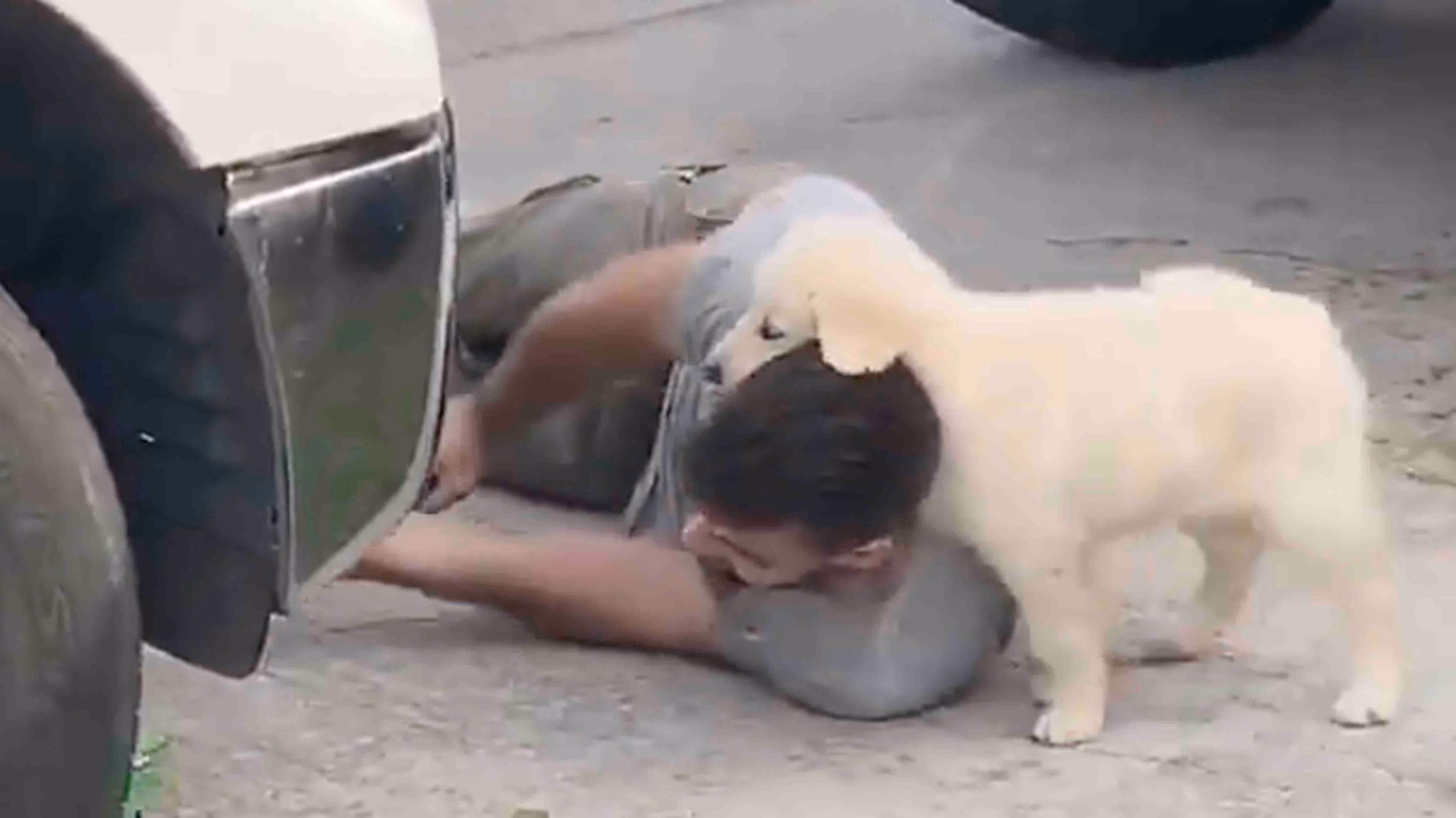 Daily Smile: Wednesday, April 8, 2026