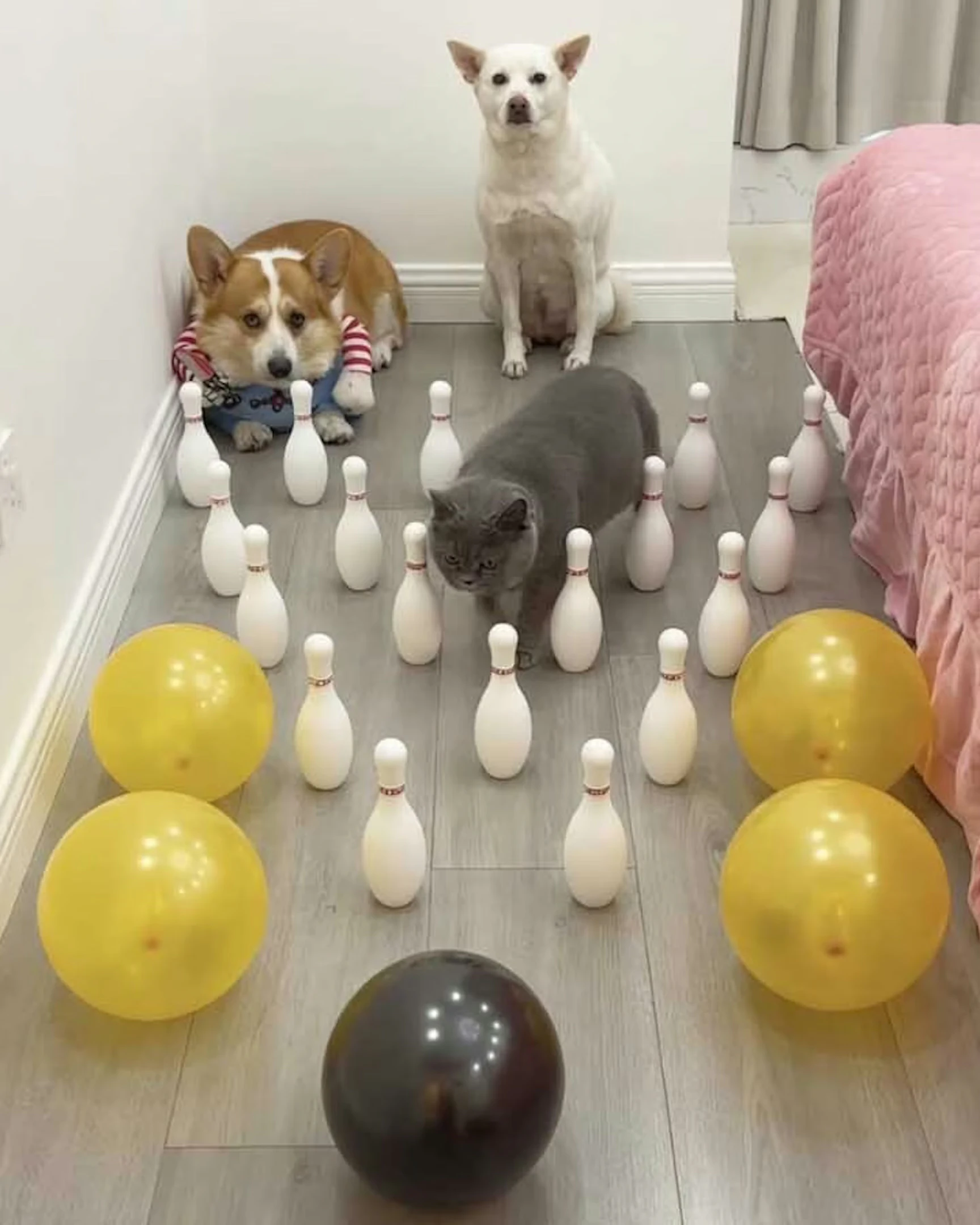 Daily Smile: Saturday, May 23, 2026
