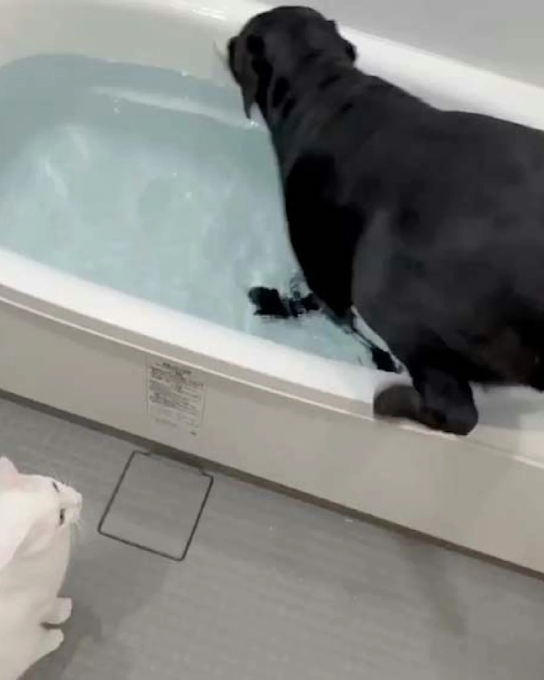 Daily Smile: Tuesday, March 31, 2026