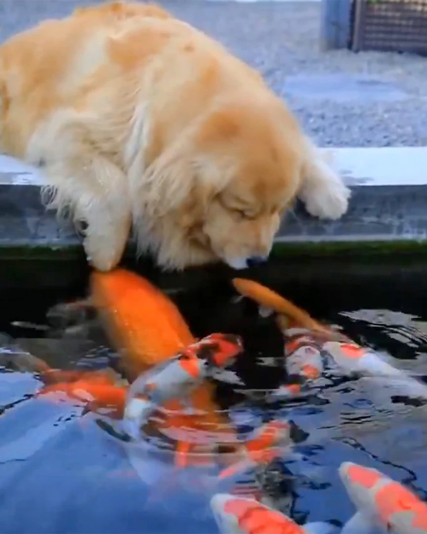 Daily Smile: Monday, March 30, 2026