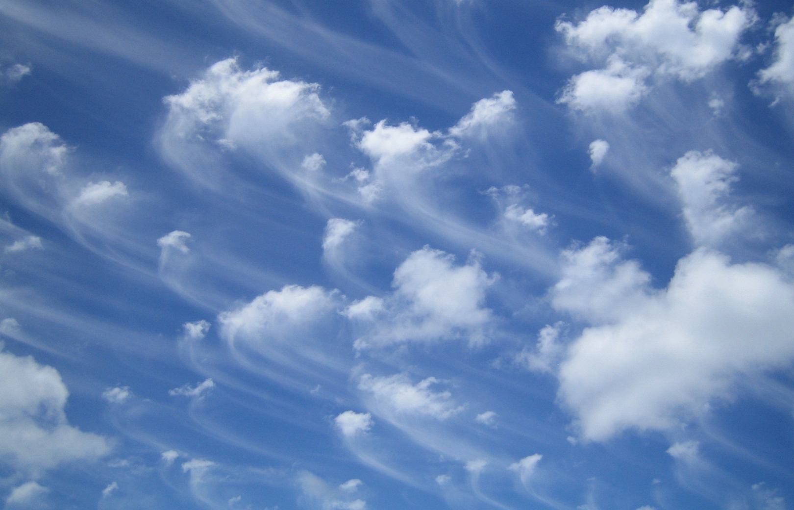 whispy clouds that look like jelly fish