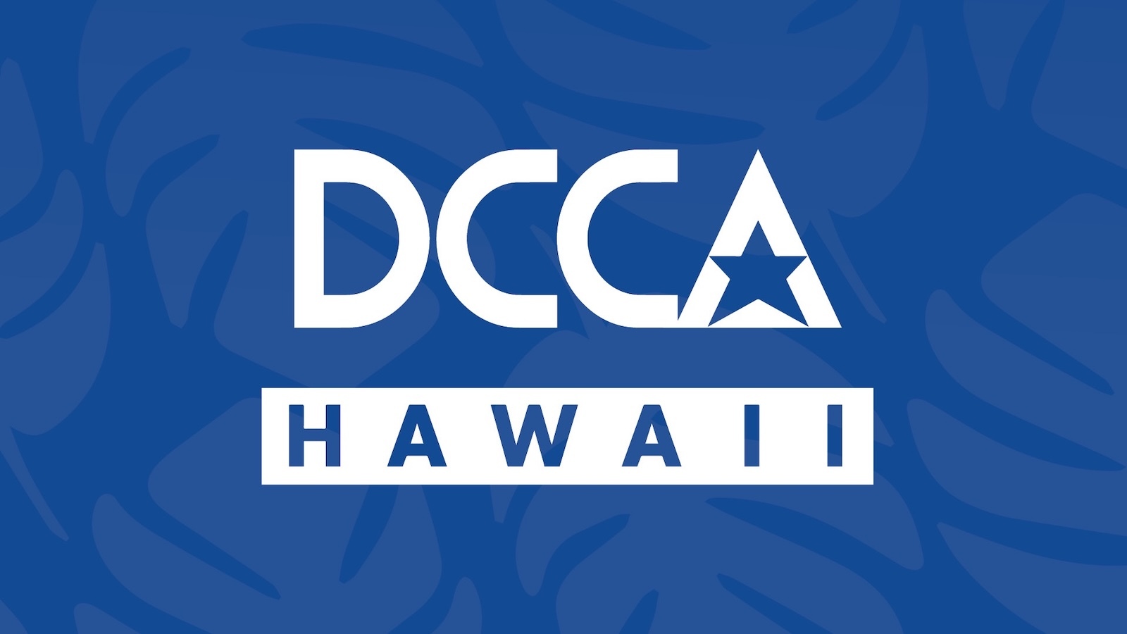 Hawai‘i Department of Commerce and Consumer Affairs