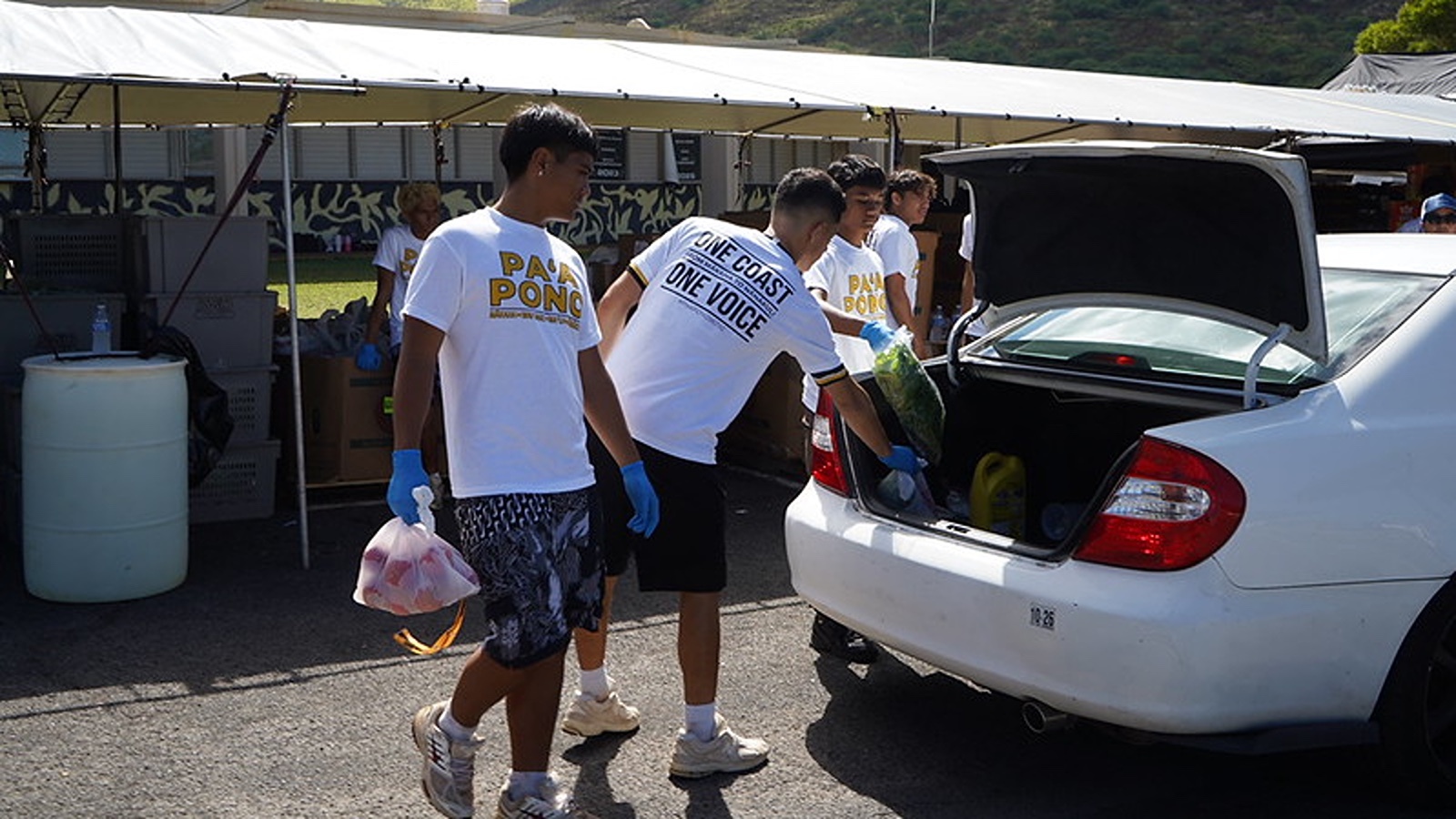 ʻElepaio Social Services, food distribution