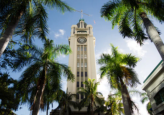 An image of a building set behind palm trees.