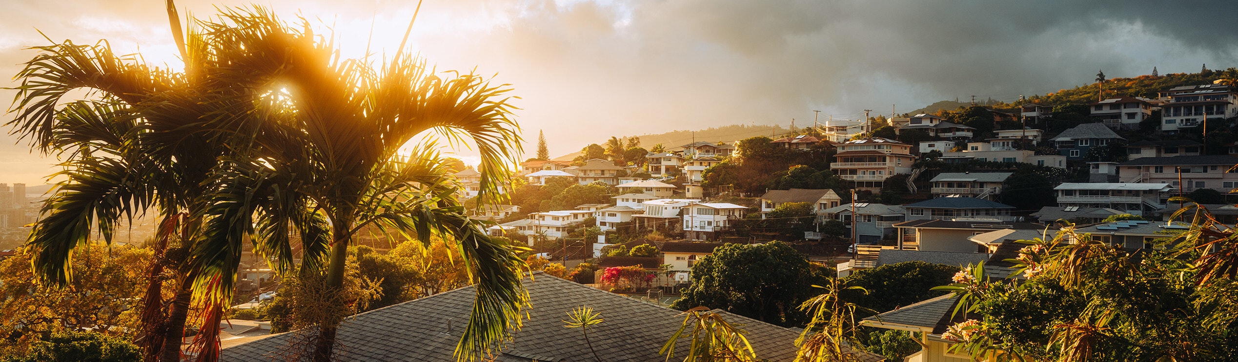 Photo of palm trees and a city in Hawaii.