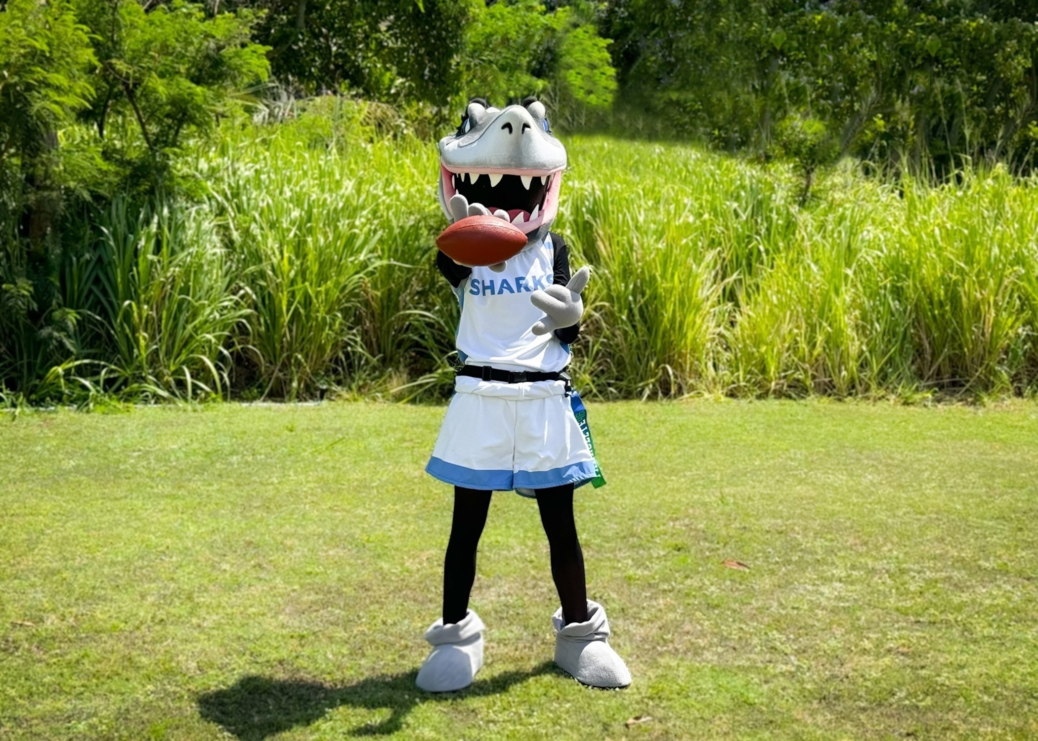 HPU Flag Football Mascot Fynn 052026