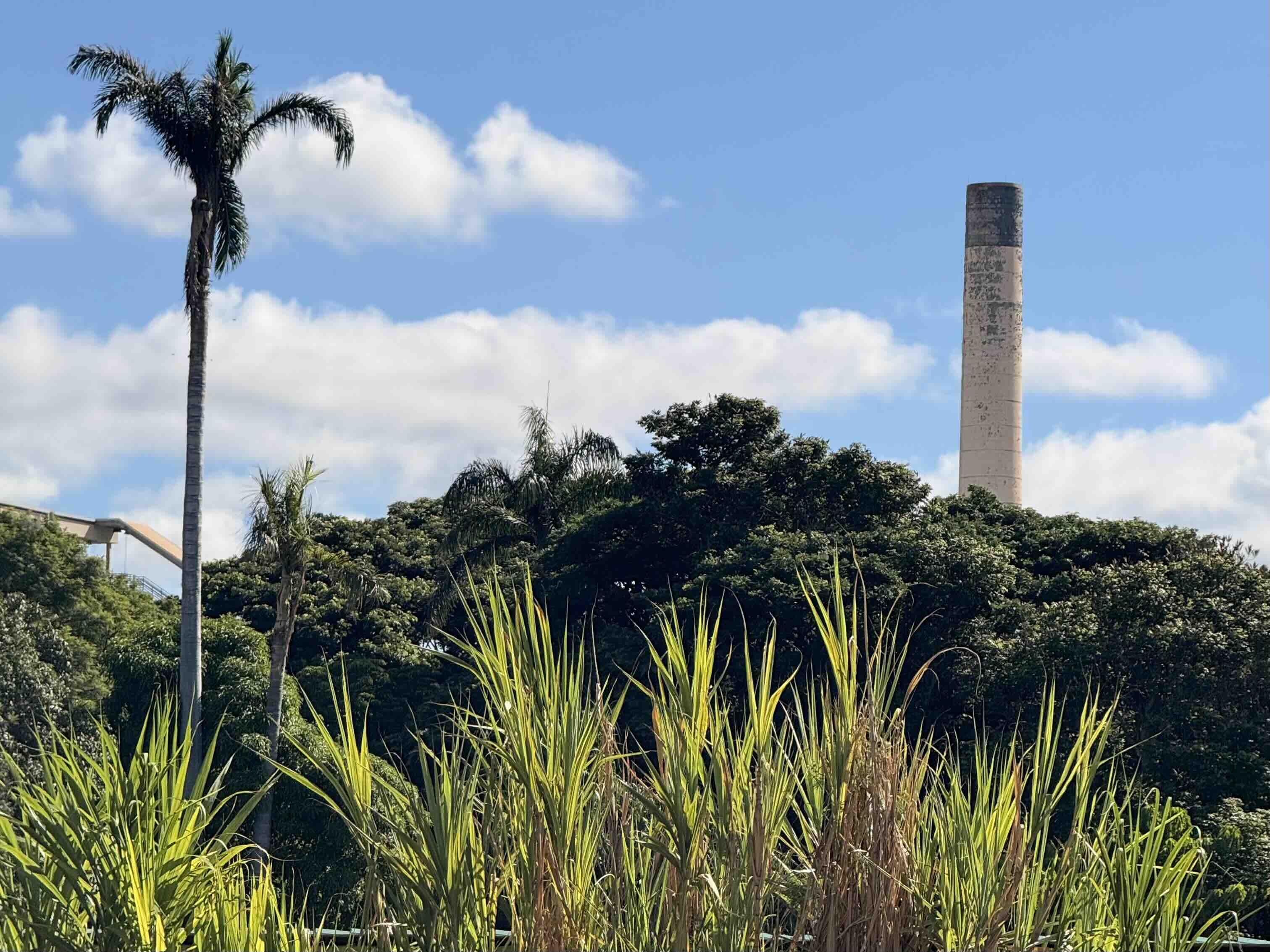 Hawaiʻi’s Plantation Village is a museum in Waipahu. Photo by Kelsey Kukaua Medeiros