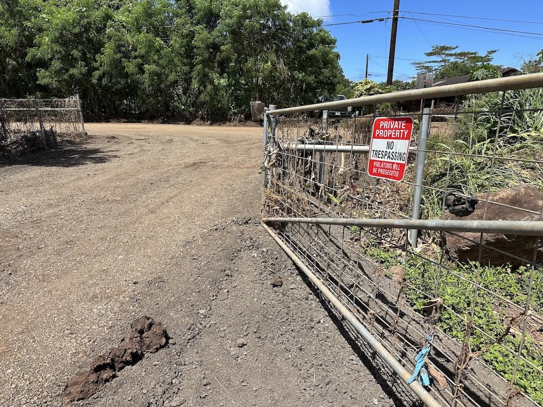 Thy Cavan grows green papayas and bananas on about two acres in Waialua.