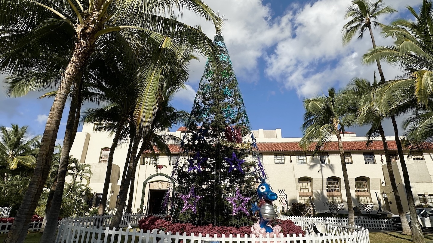 This Christmas tree is outside of Honolulu Hale.