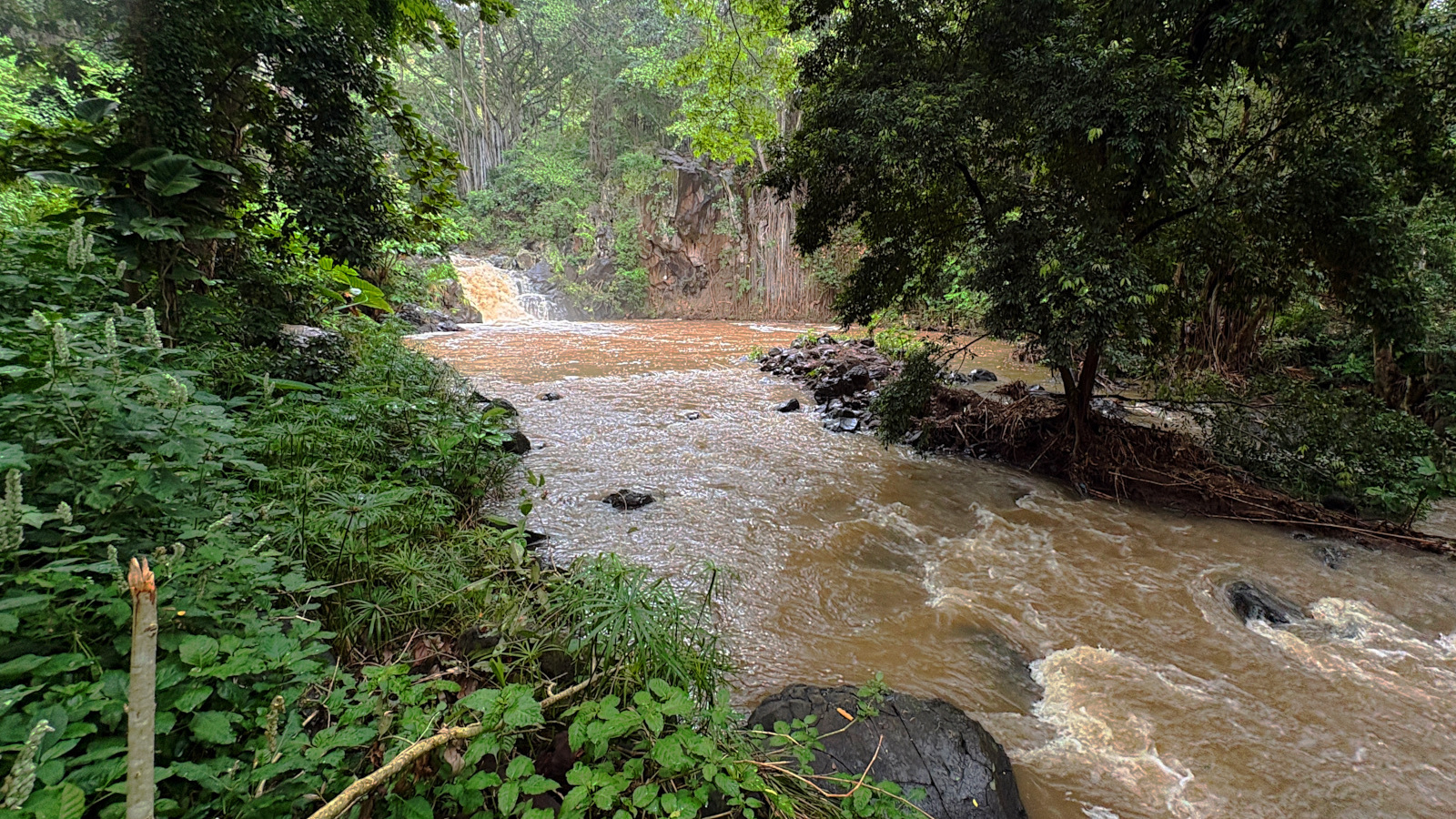 Kapena Falls Nuuanu