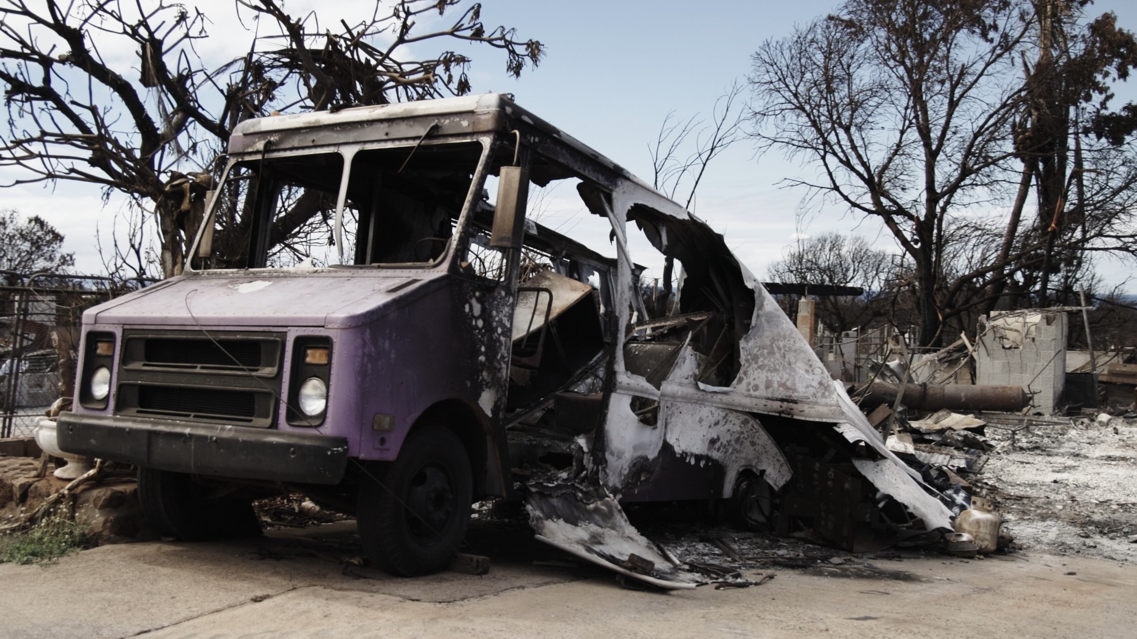 The documentary also explores the devastation of the wildfires.