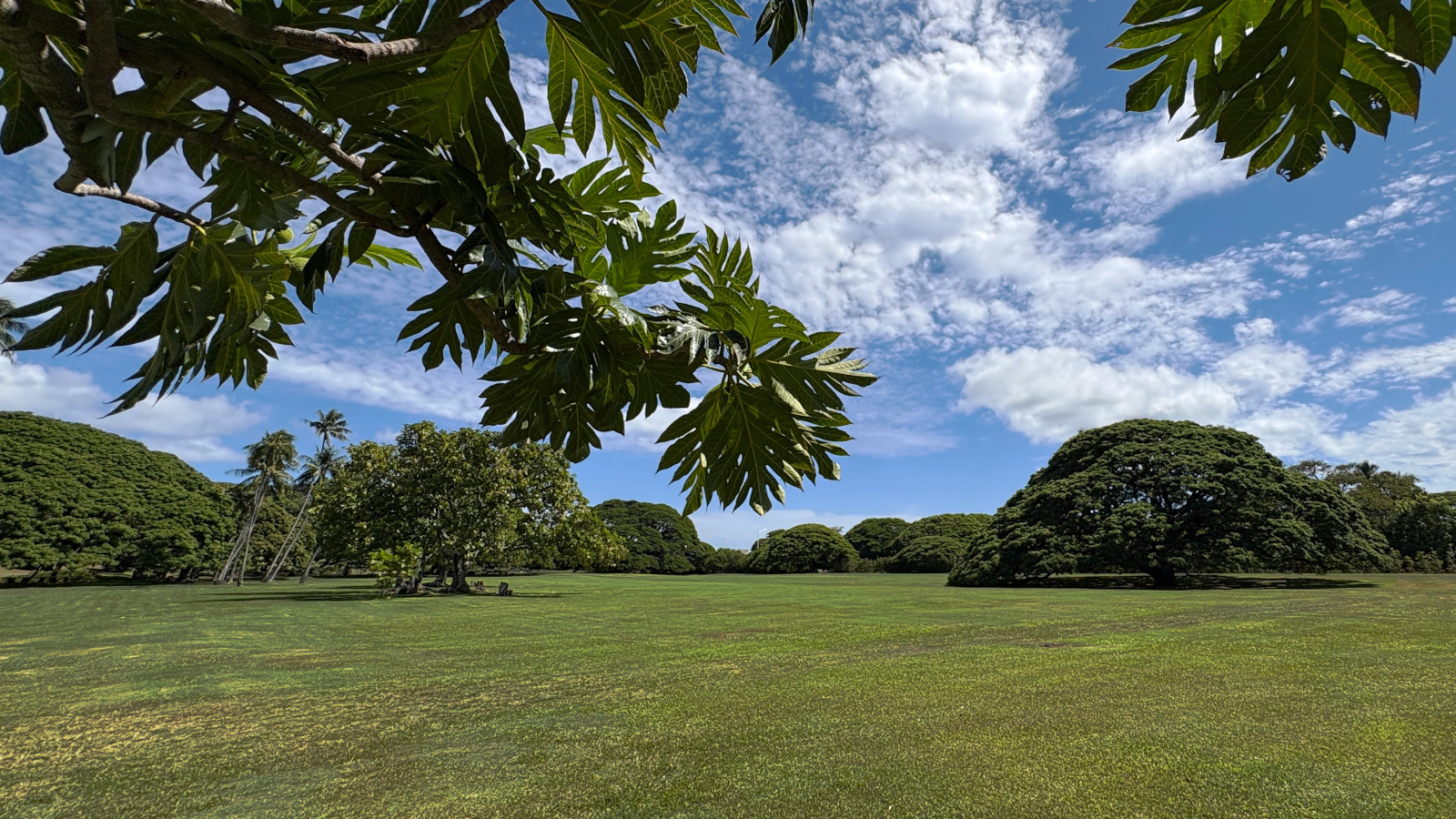 Moanalua Gardens