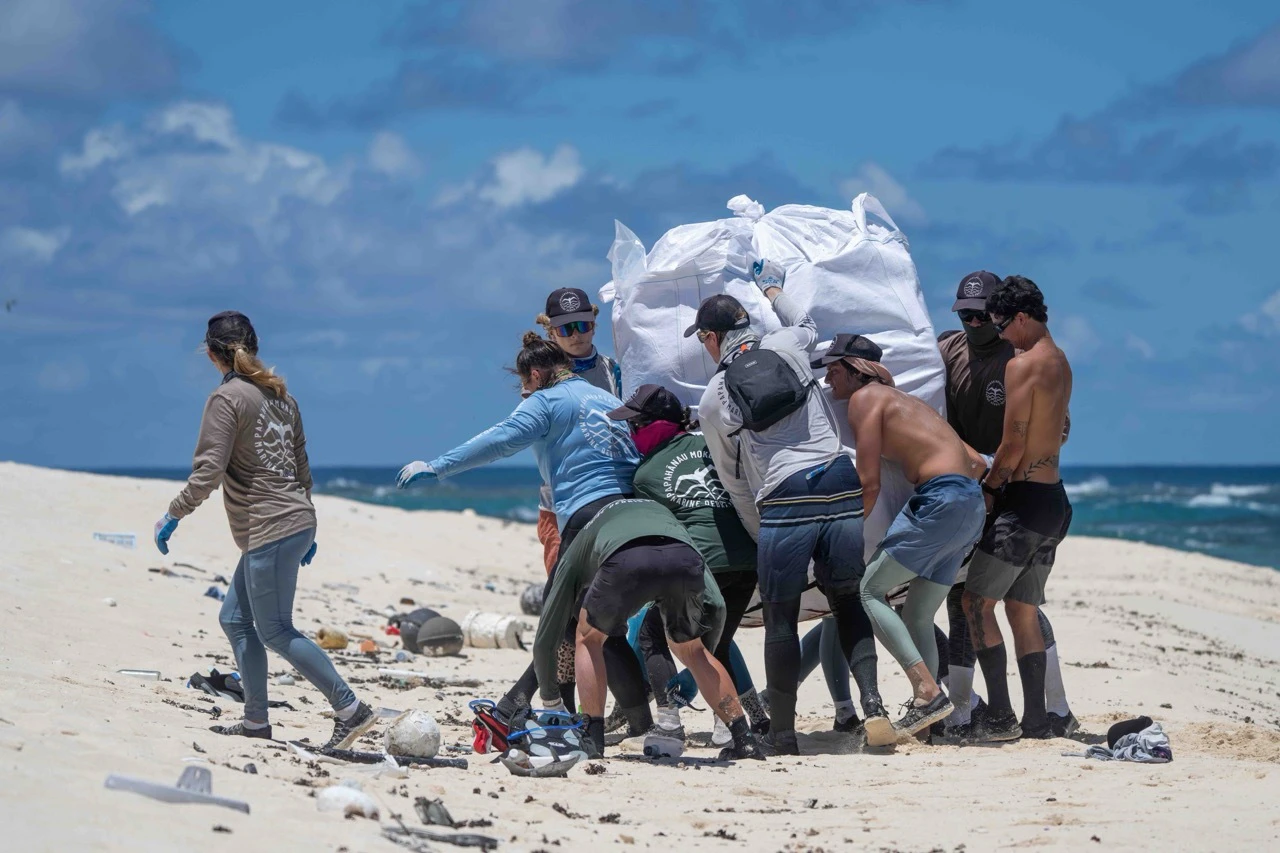 Debris is bagged for removal.