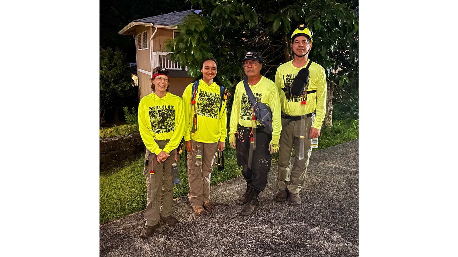 Volunteers Sidney Lynch, Leila Tewahade, Drew Matsumoto and Mike Shiroma prepare to hunt coquis off Halekipa Place on Monday, Aug. 31, 2026.