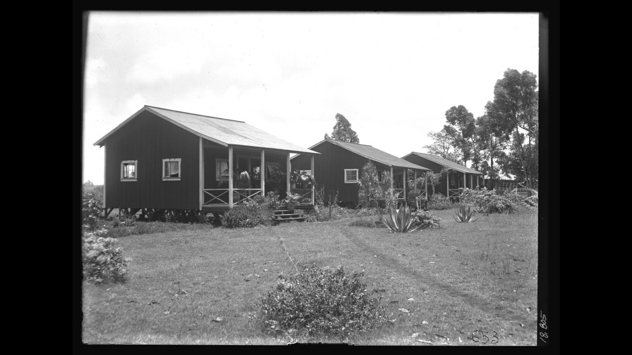 Pineapple plantation homes