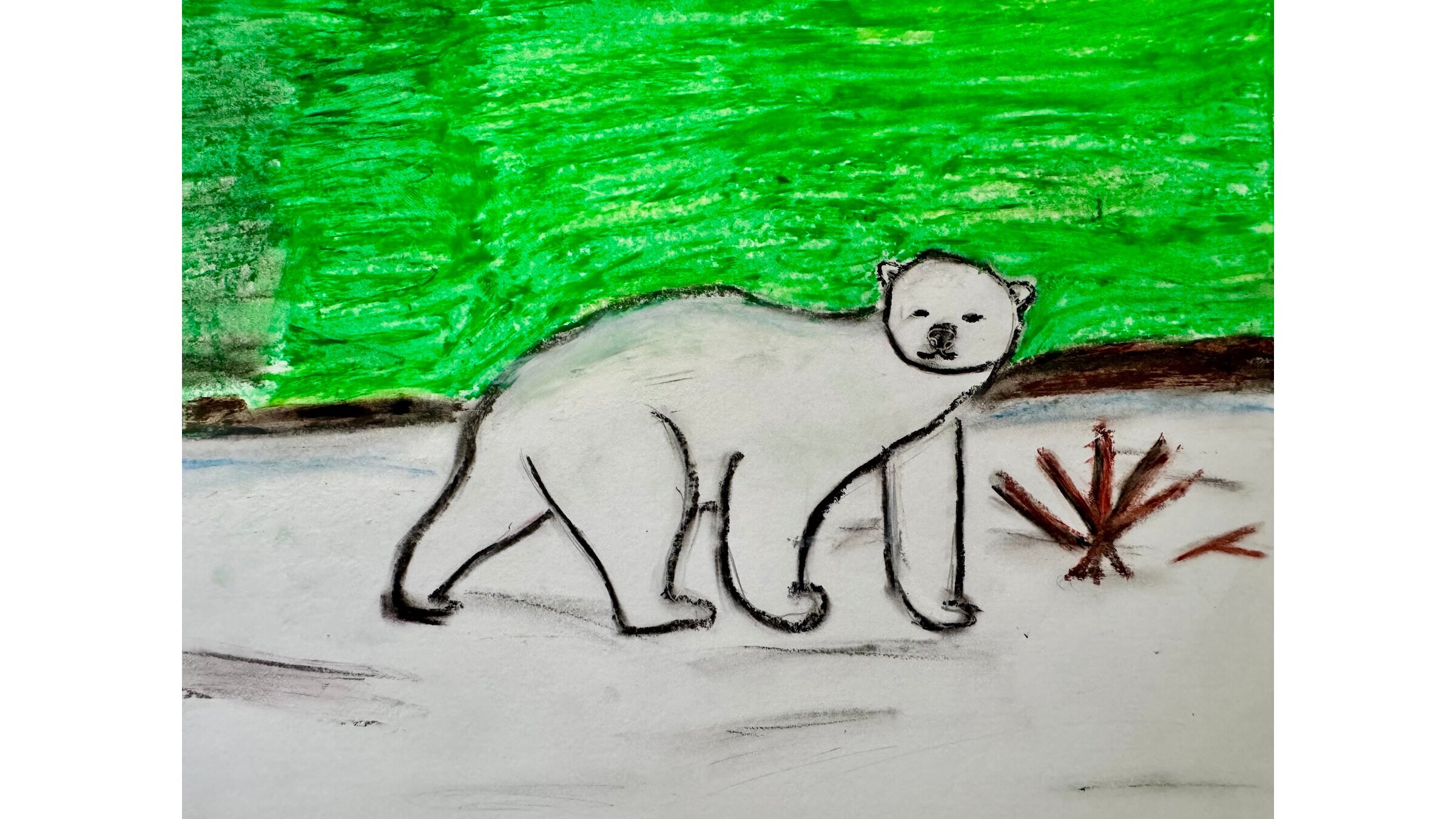 A polar bear, as drawn by a student at Likelike Elementary School.