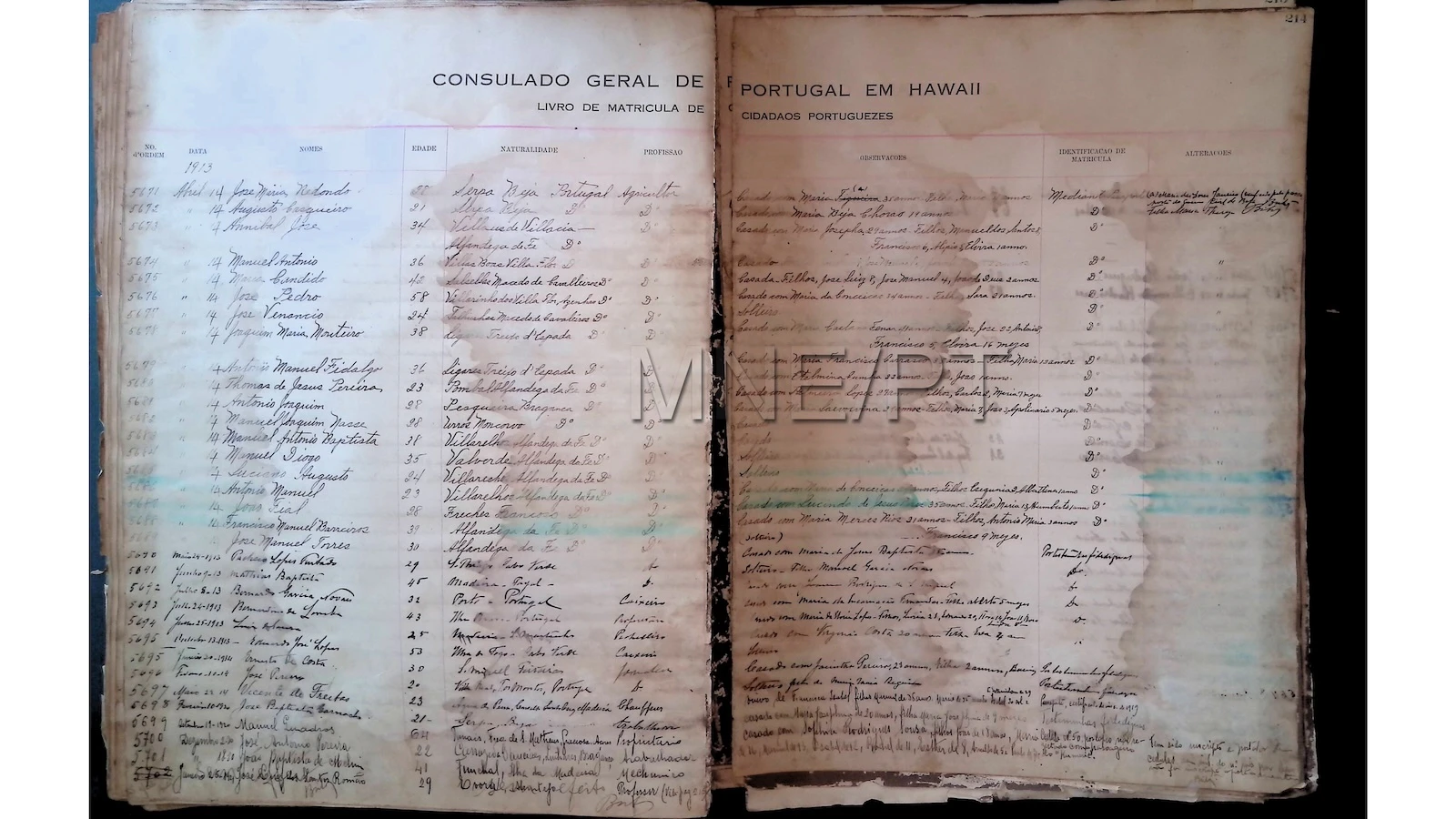 Pages from the scanned immigration logs.