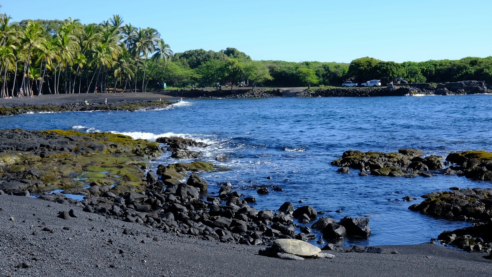 Punaluʻu Black Sand Beach Park, Hawaiʻi County