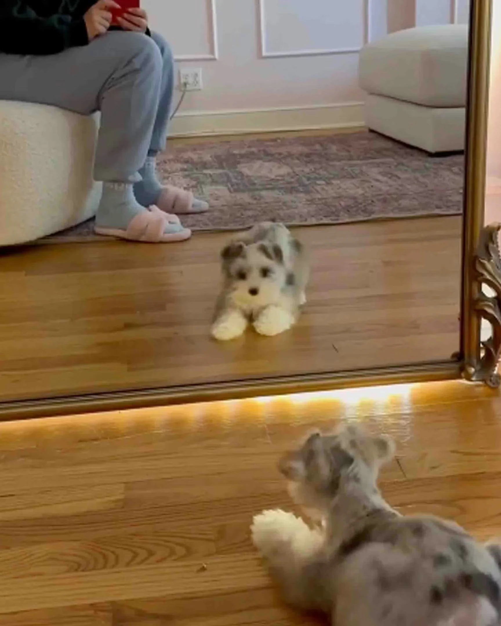 Daily Smile: Sunday, March 1, 2026