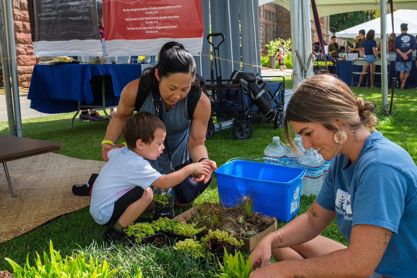Plants have been part of previous festivals at the Bishop Museum.