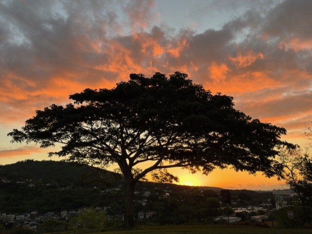Sunset near Punchbowl