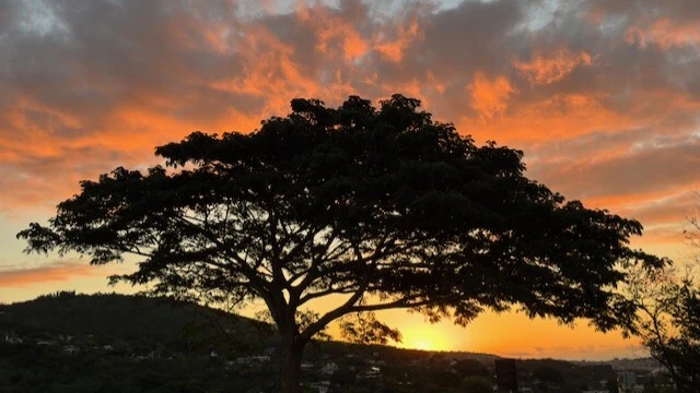 Sunset near Punchbowl