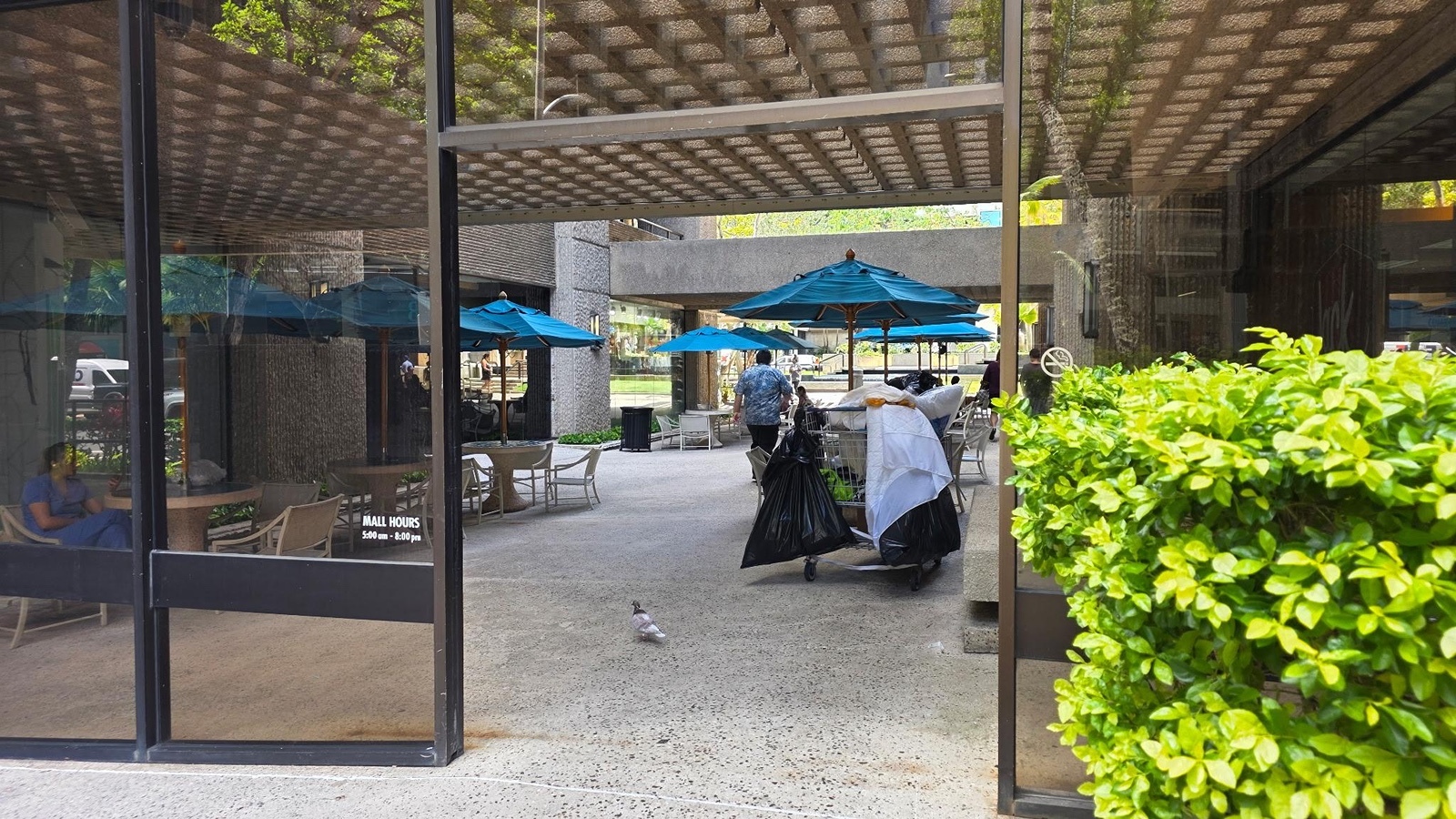 The Honolulu City Council is considering a bill that would fine people for possessing a shopping cart outside of a commercial area.
