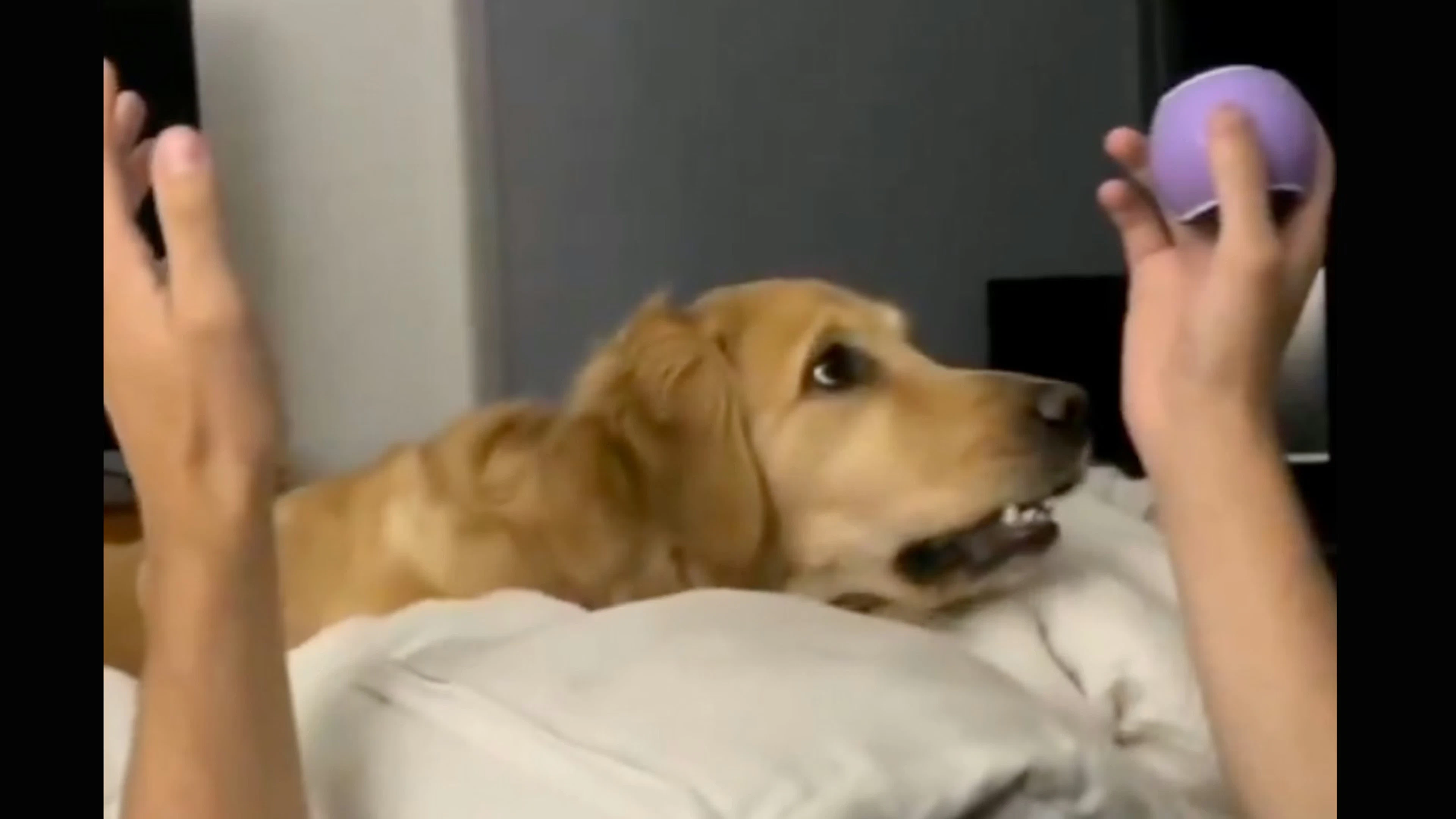 Daily Smile: Thursday, March 12, 2026