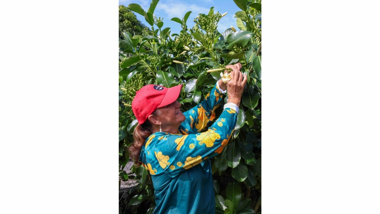 Vicky Holt Takamine in garden