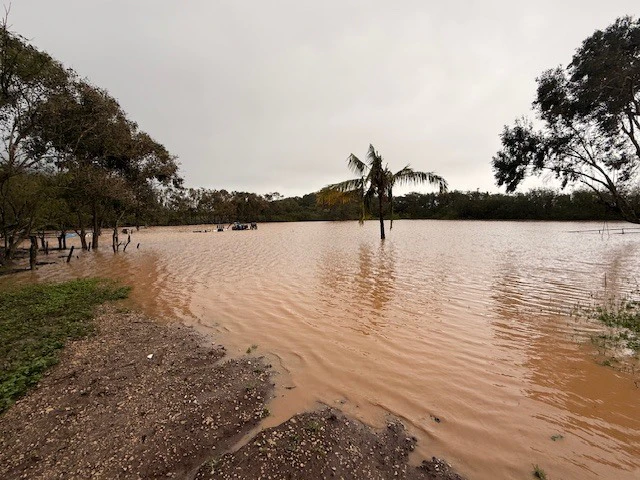 Kona low storms led to flooding and destroyed supplies and structures at Waimānalo Country Farms.