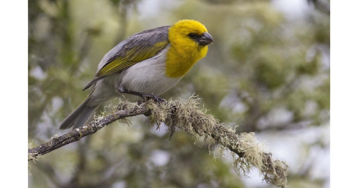 Aloha State Daily | DLNR proposing stricter wildlife conservation rules