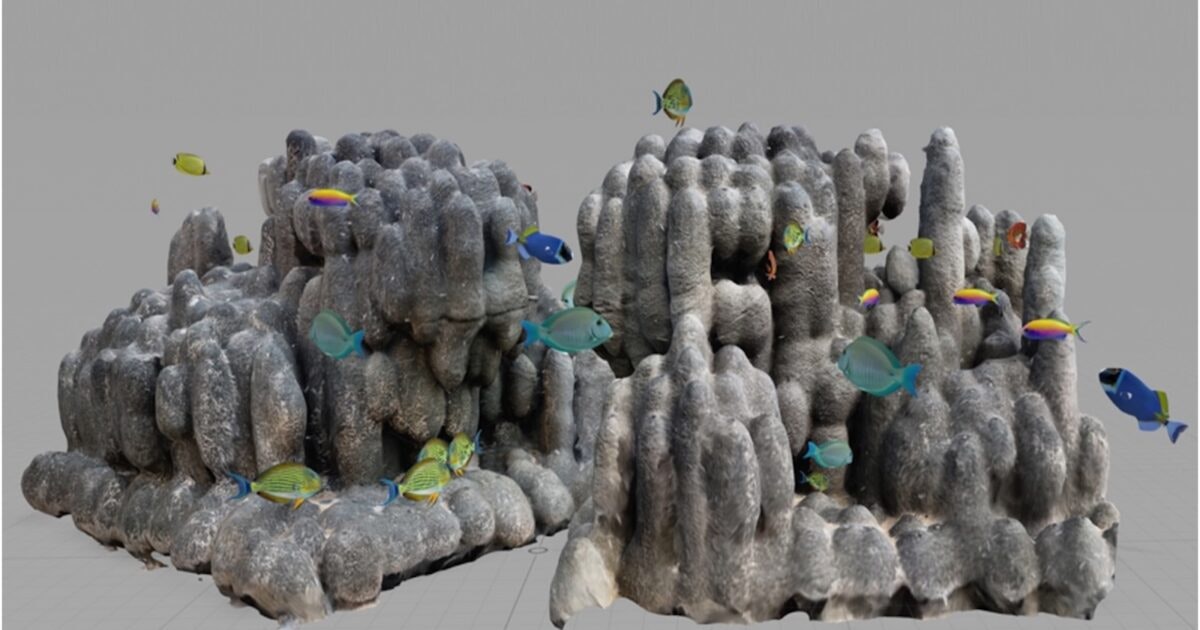 Aloha State Daily | Artificial reef coming to Waikīkī