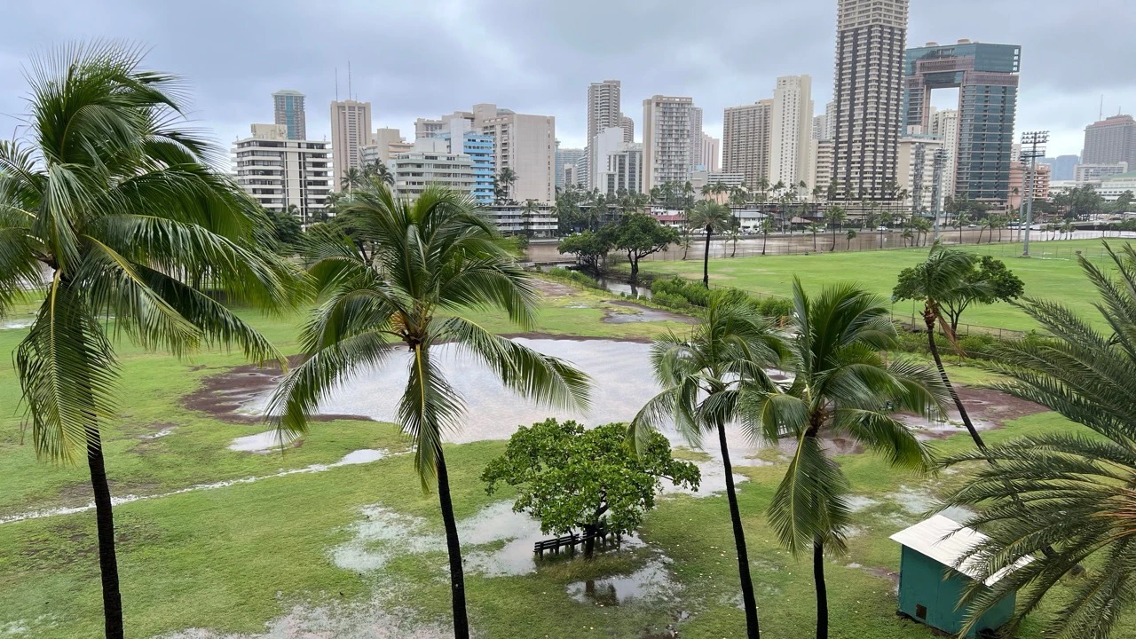 Ala Wai Community Park flooded