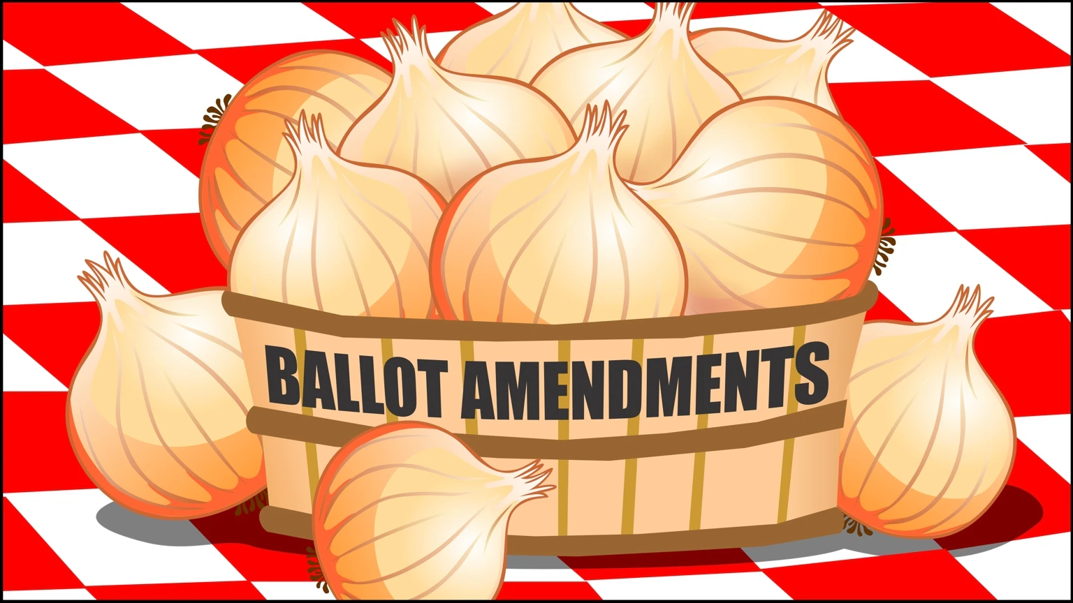 ballot amendment cartoon