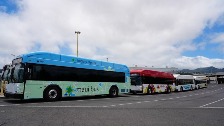 The all-electric, zero-emission buses.