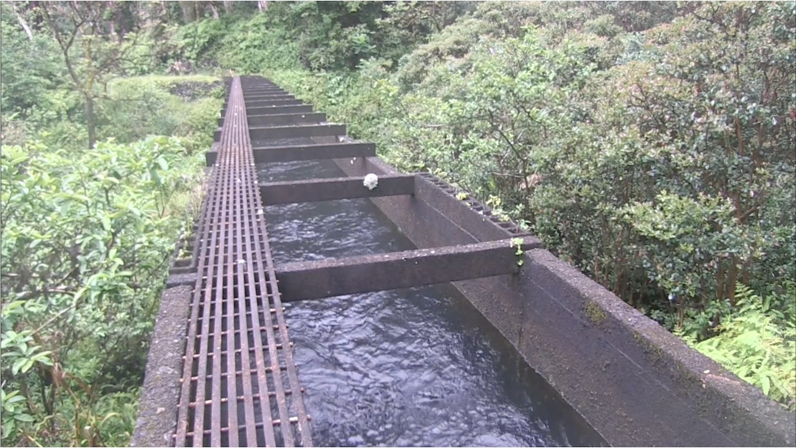 An irrigation ditch, a component of the East Maui Irrigation System.