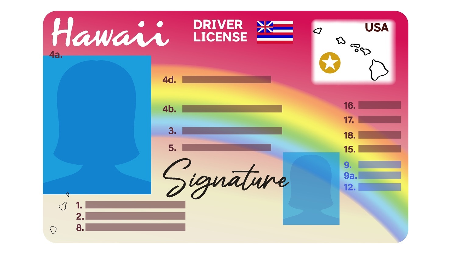 Hawaii driver's license