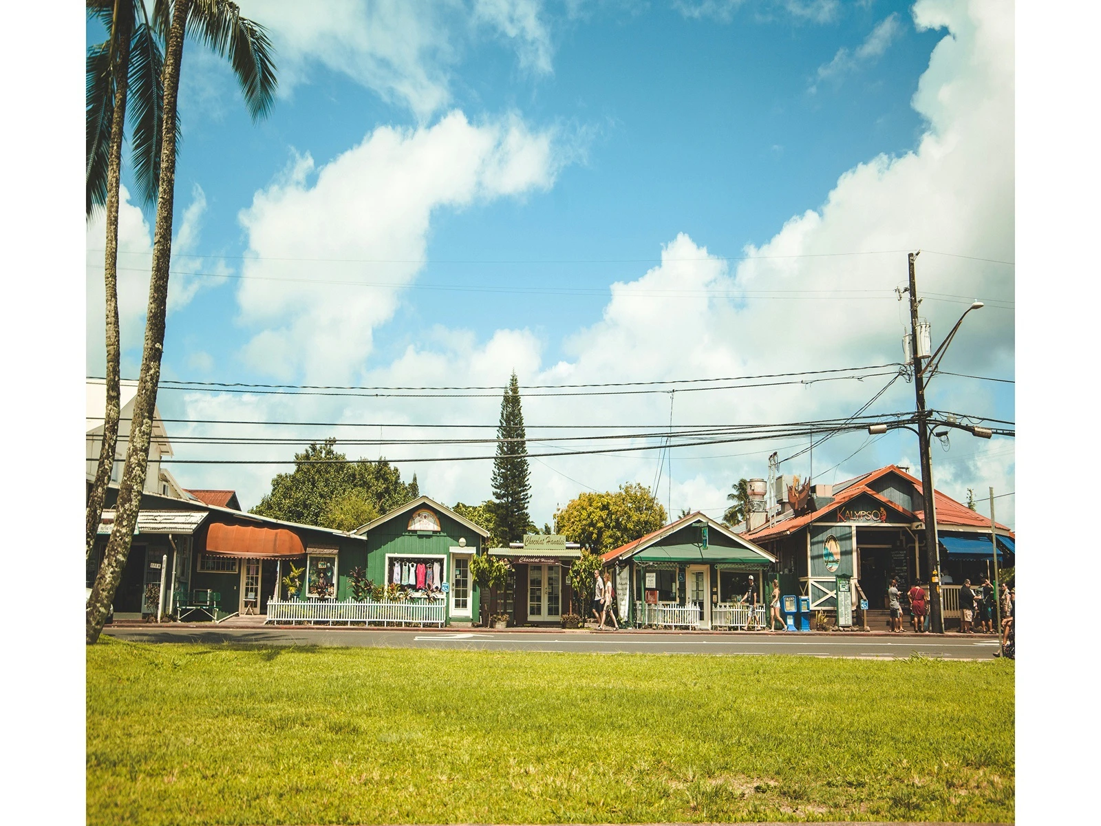 The Kauaʻi County Council Planning Committee is considering updating the county's building code to reflect Wildfire and Wildland Urban Interface standards.