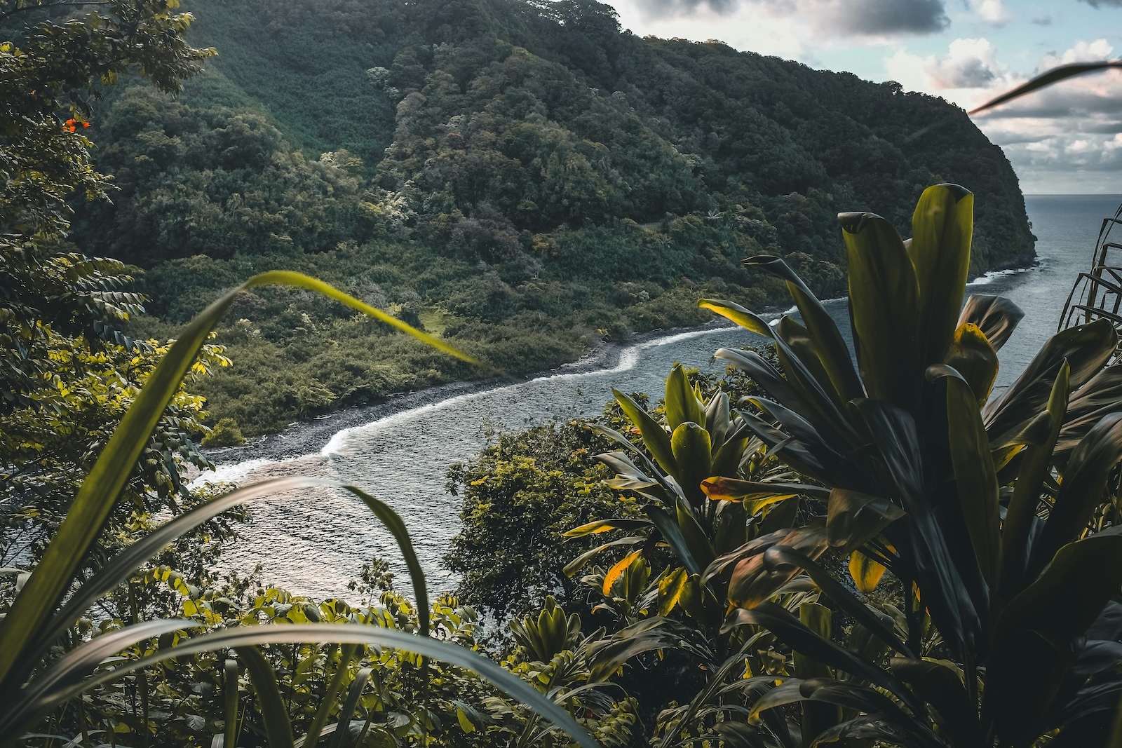 View from Road to Hāna in Haiku, Maui. Photo by Giorgia Romiti on May 2, 2022.