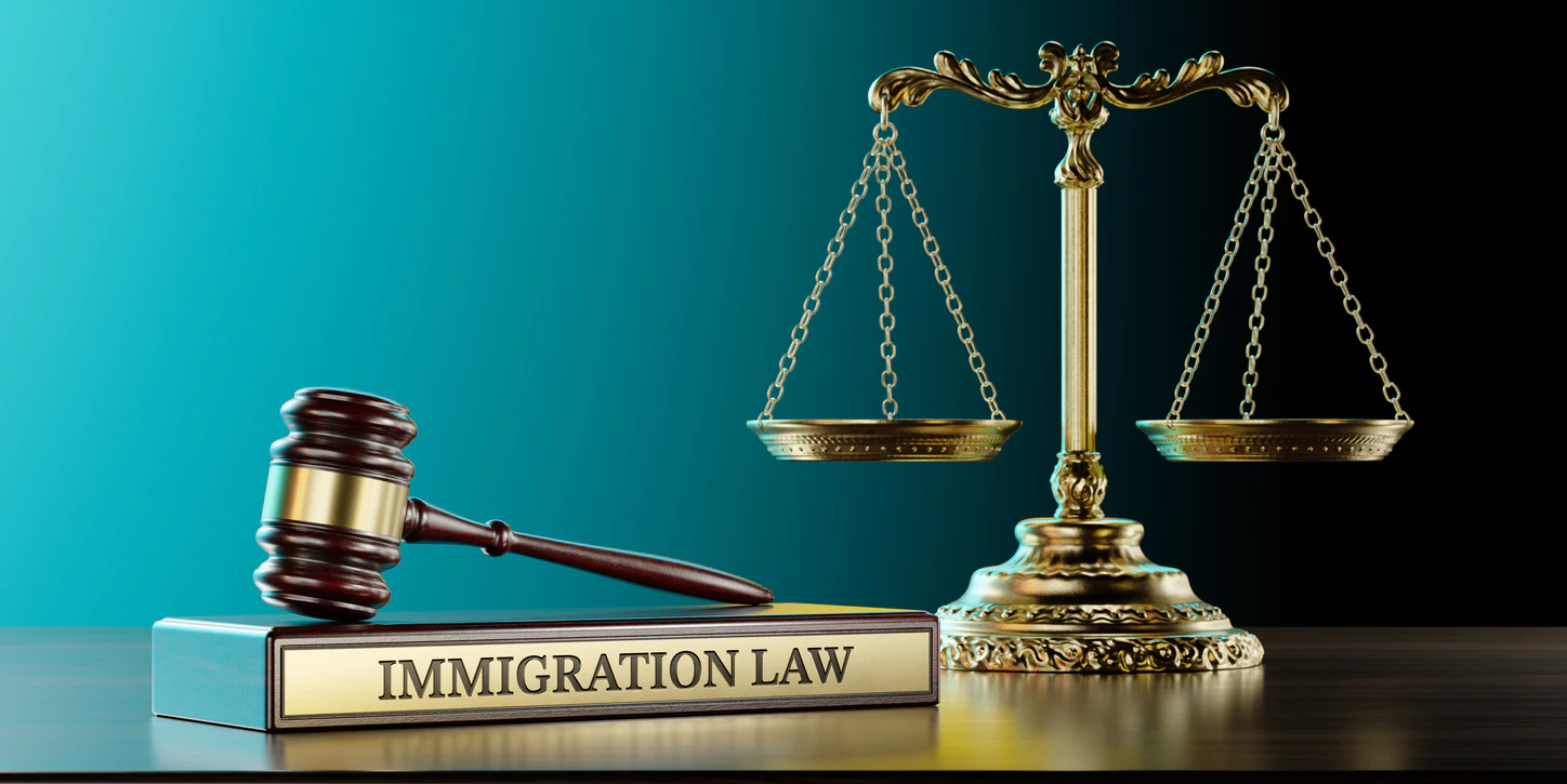 immigration law