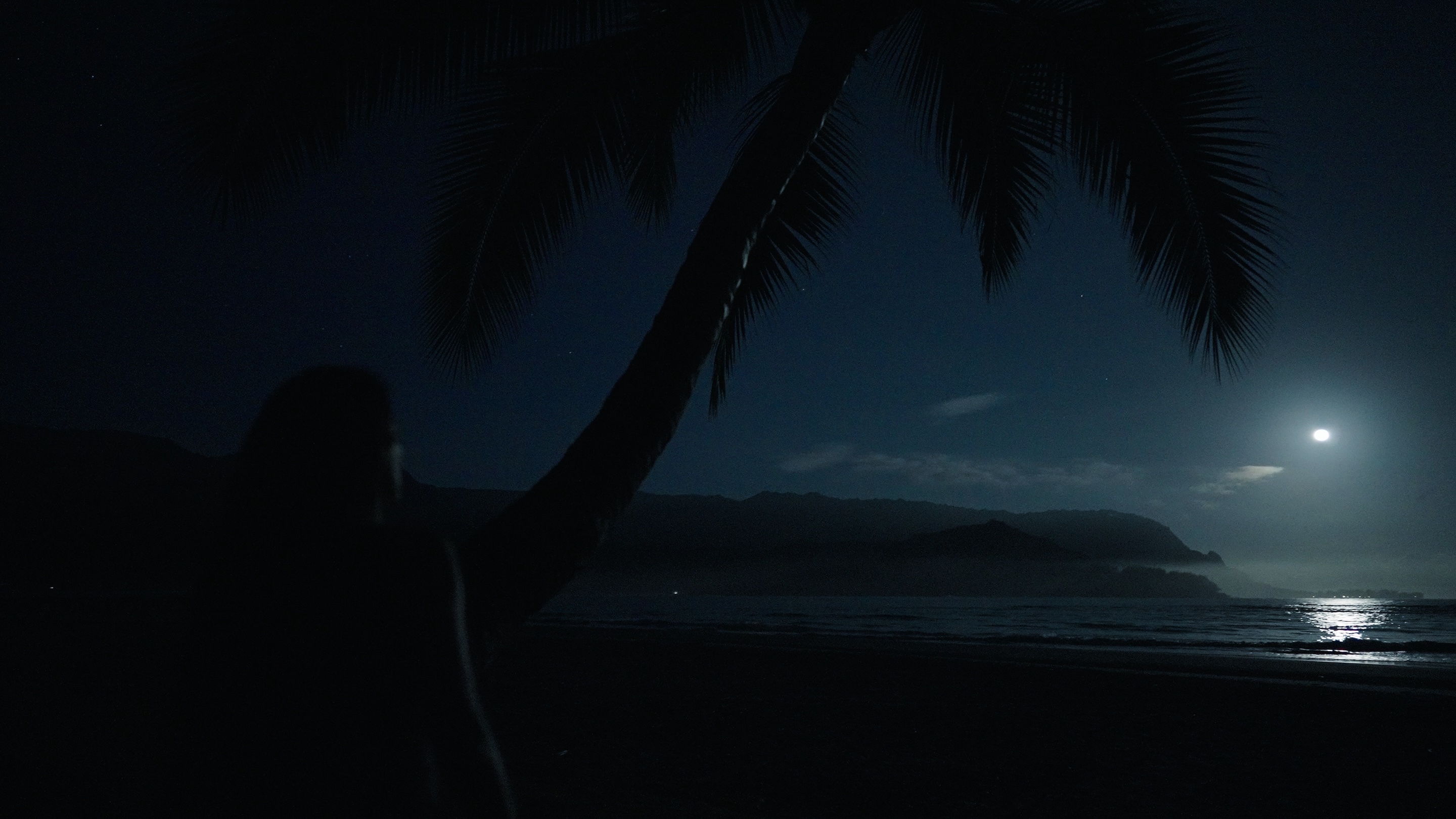 “Hanalei I Ka Pilimoe” was co-written by Devin Kamealoha Forrest, who wrote the lyrics, and Kalani Peʻa, who composed the music and melody.