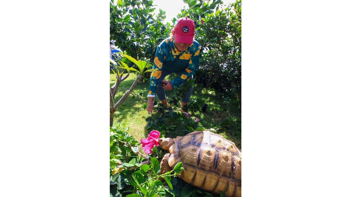 Vicky Holt Takamine with tortoise