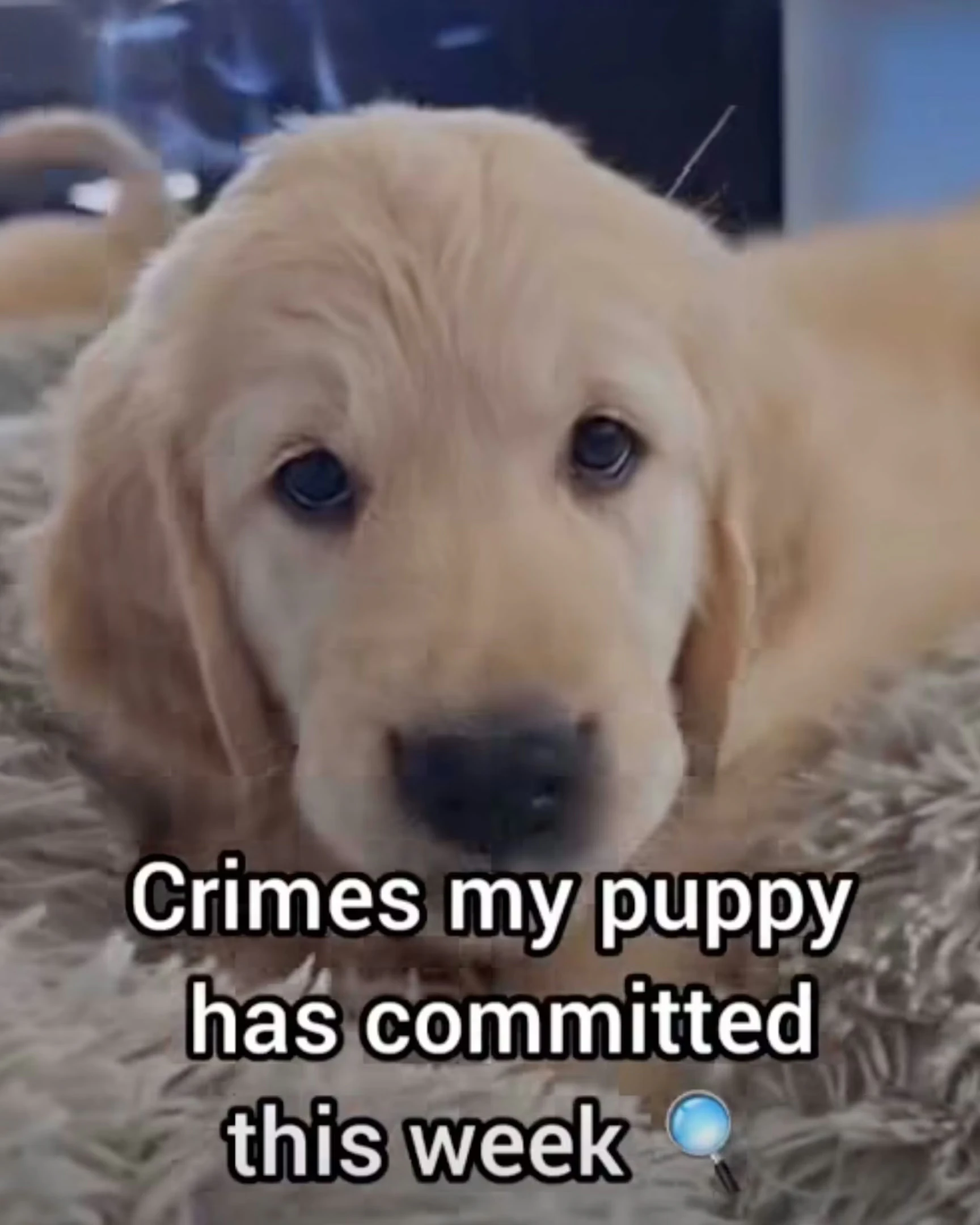 Daily Smile: Thursday, January 15, 2026