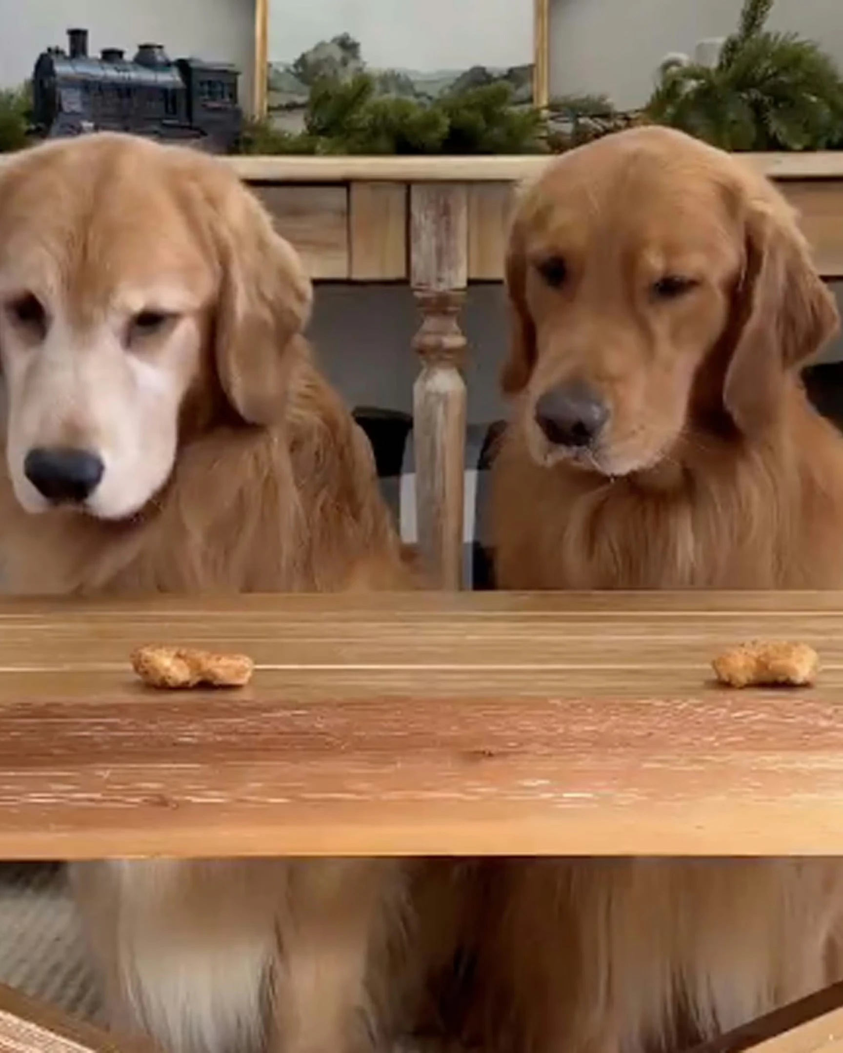 Daily Smile: Friday, January 16, 2026