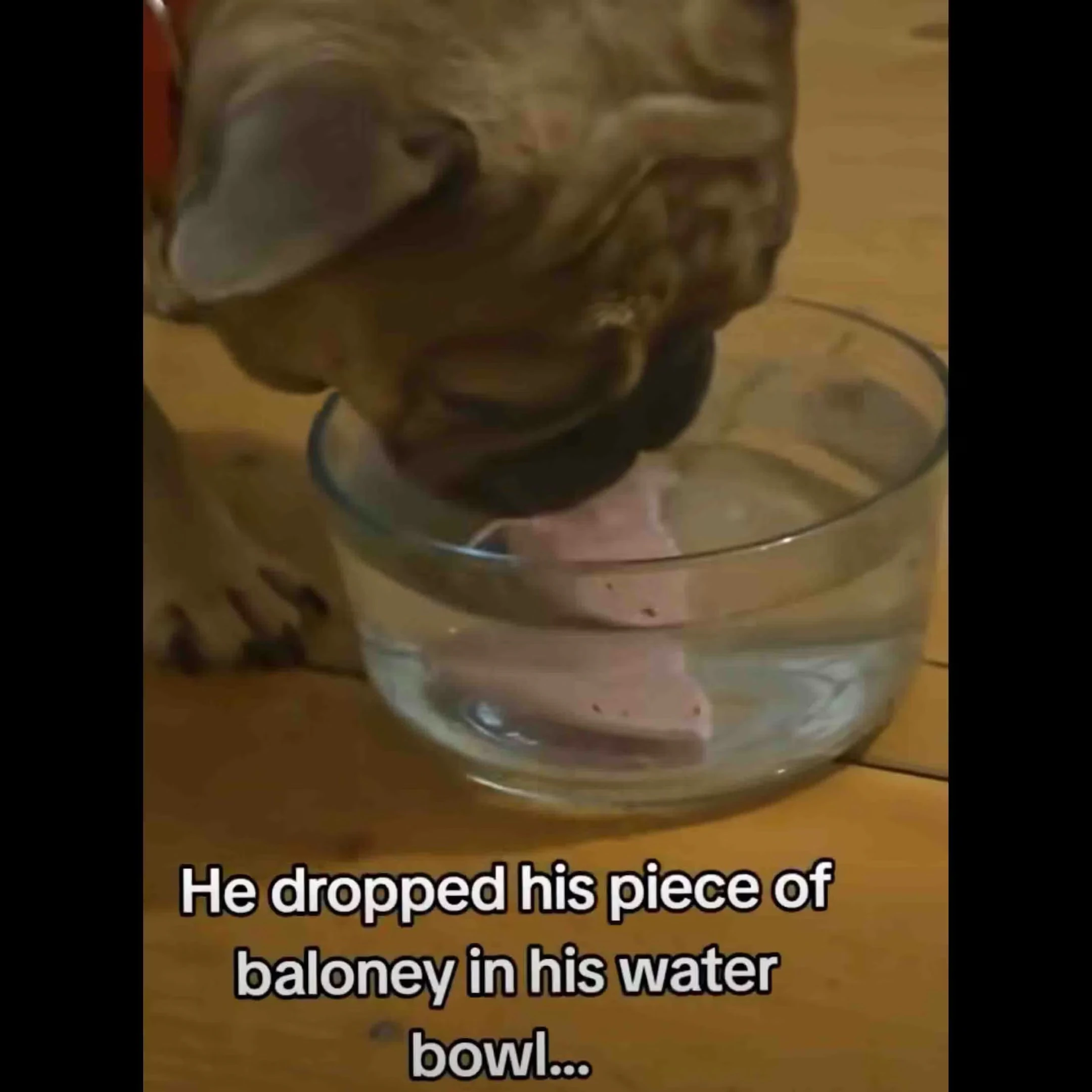 @DailyFeatures on YouTube