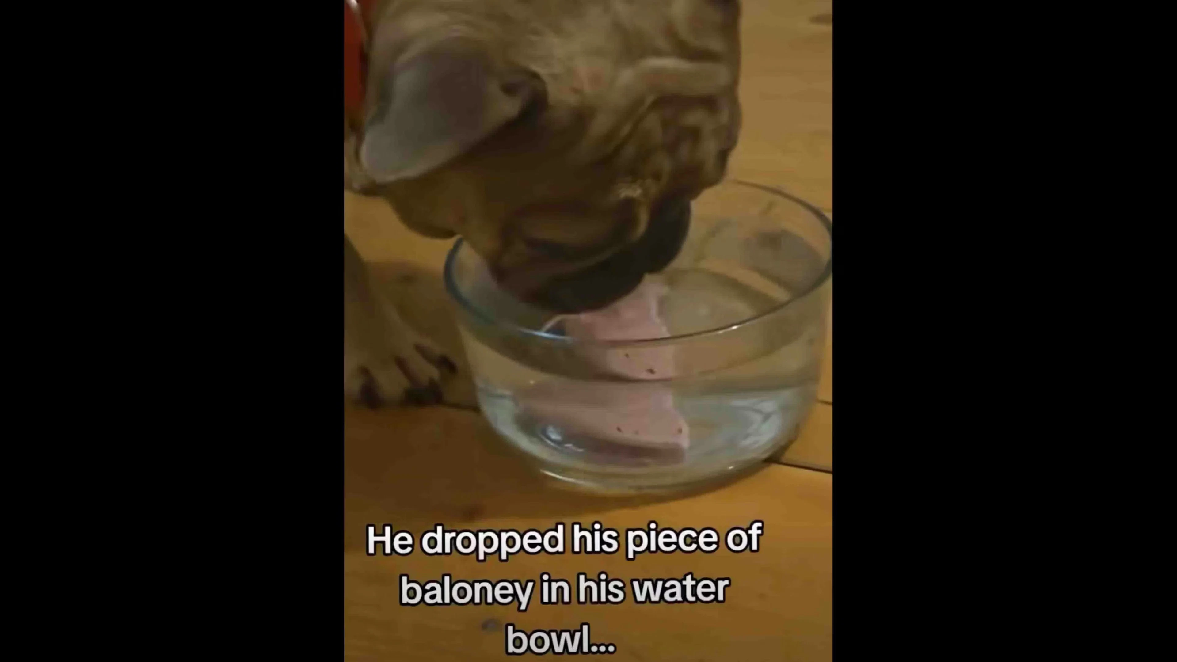 Daily Smile: Saturday, January 17, 2026