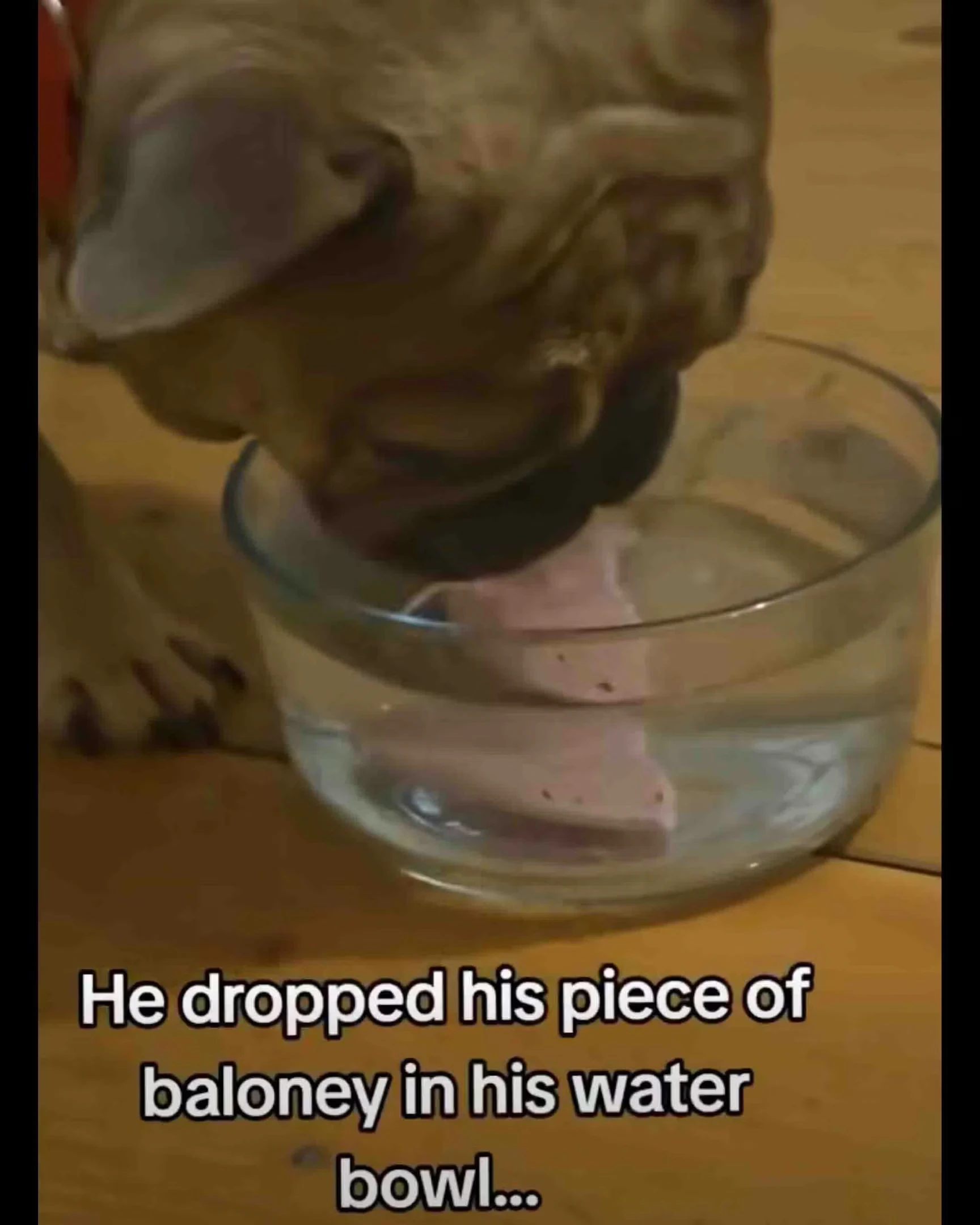 Daily Smile: Saturday, January 17, 2026