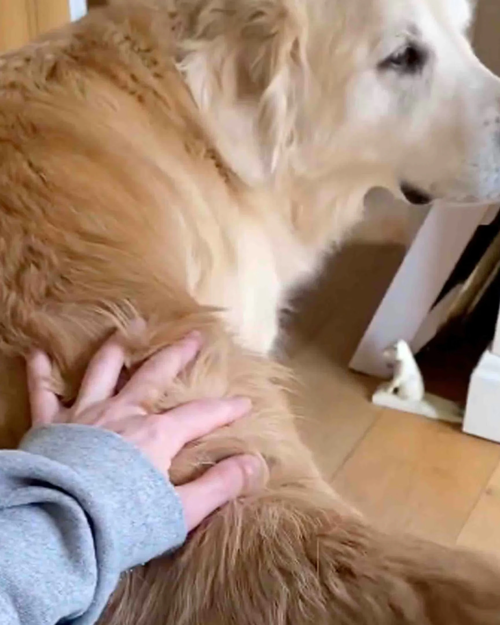 Daily Smile: Sunday, January 18, 2026